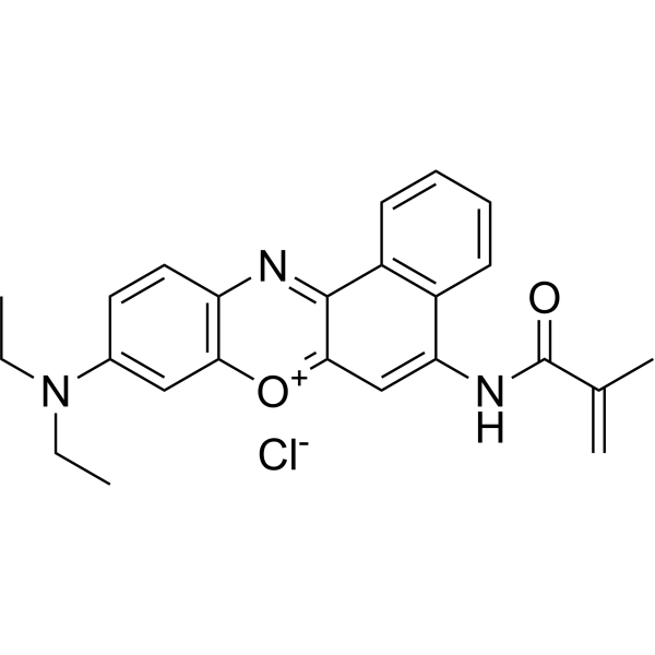 Nile Blue Methacrylamide 699018-10-5